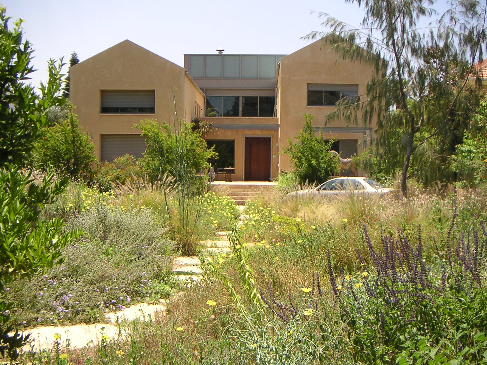 pic1